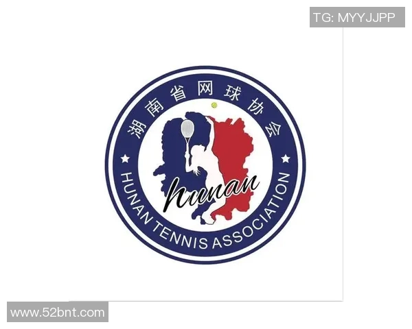 北京网球队的管理模式与发展策略深度解析